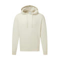 Sudadera Authentic con capucha hombre