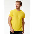 BS Evolution T-Shirt, 150 g/m2, 100 % Baumwolle