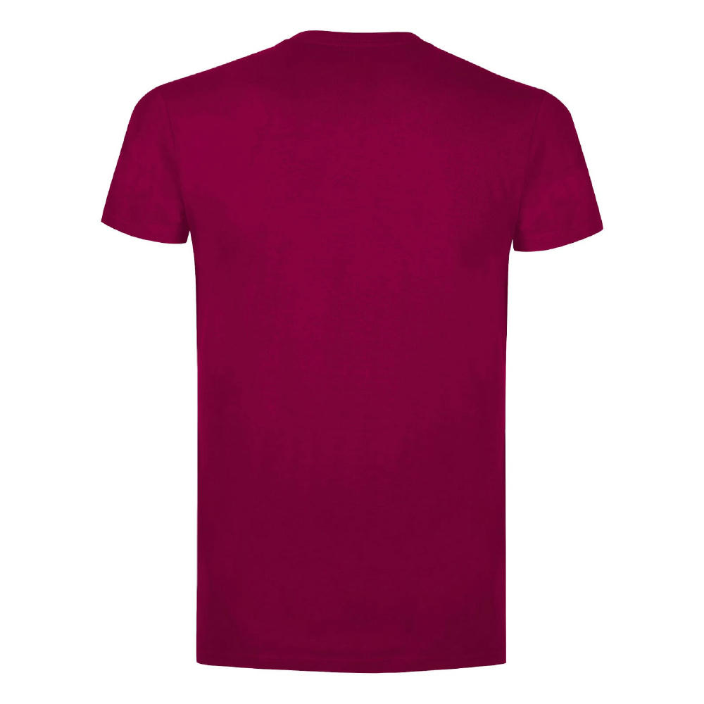 BS Evolution T-Shirt, 150 g/m2, 100 % Baumwolle