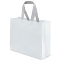 BOLSA NON WOVEN LAMINADA PEQUEÑA 