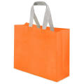 BOLSA NON WOVEN LAMINADA PEQUEÑA 