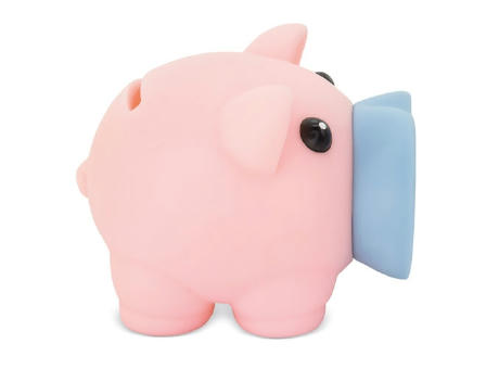 HUCHA CERDITO 