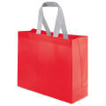 BOLSA NON WOVEN LAMINADA PEQUEÑA 