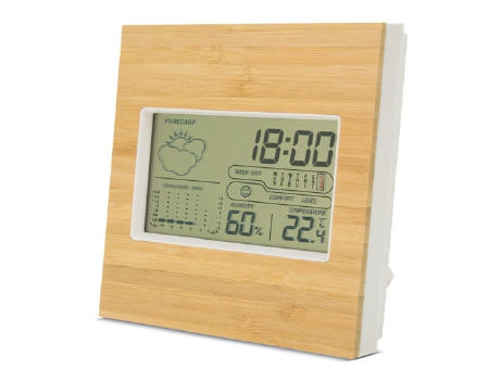 ESTACION METEOROLOGICA DE BAMBU JAVA