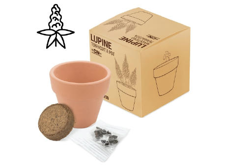 MACETA TERRACOTA LUPINE "FLORAL"