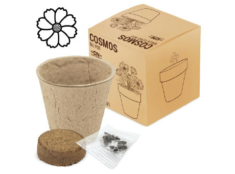 MACETA BIO COSMOS "RAMILLETE"