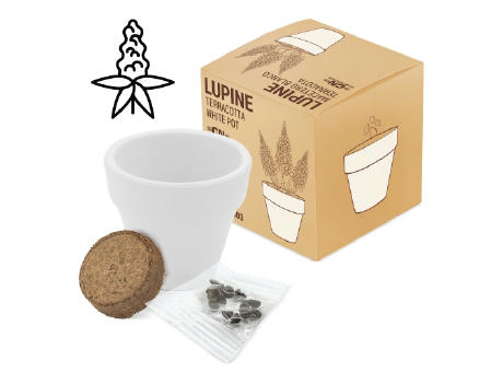 MACETA TERRACOTA "WHITE"