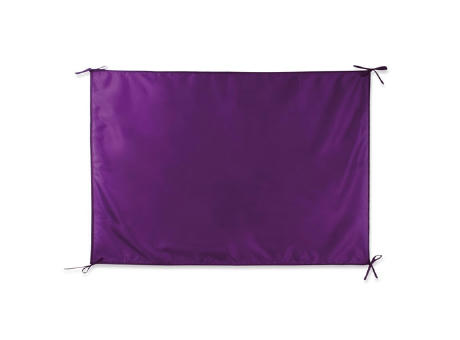 BANDERA FIESTA "REGIÓN"