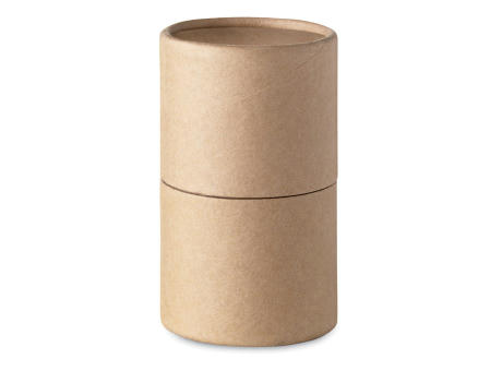 Estuche 30 ceras