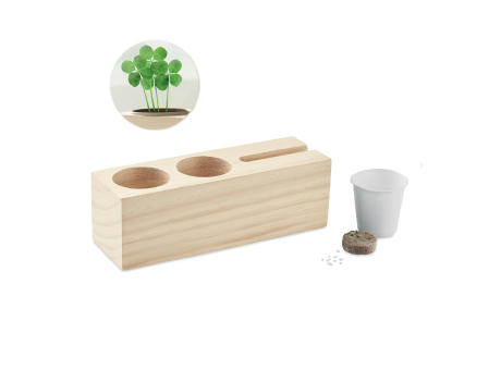 Set sobremesa kit de semillas