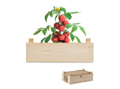 Mini-huerto tomates en caja