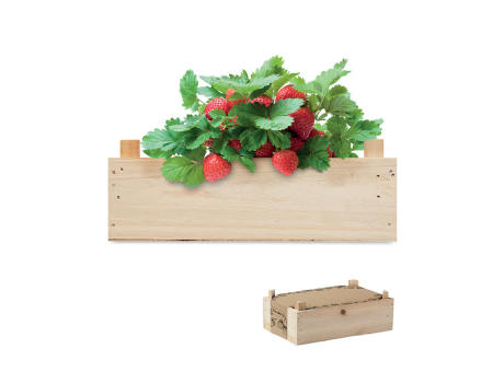 Kit de fresas en caja madera
