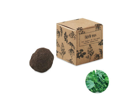 Kit de semillas de hierbas