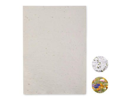 Hoja A4 de papel con semillas
