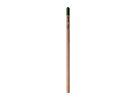 Sprout™ | Bleistift