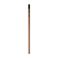 Sprout™ | Bleistift