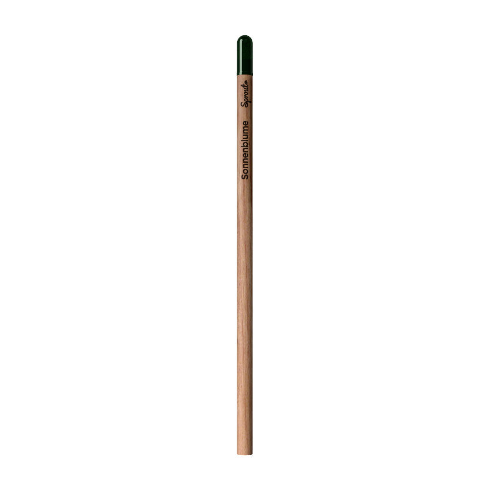 Sprout™ | Bleistift