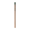 Sprout™ | Bleistift