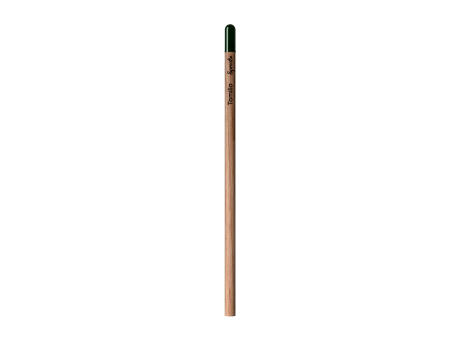 Sprout™ | Bleistift