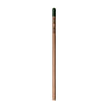Sprout™ | Bleistift