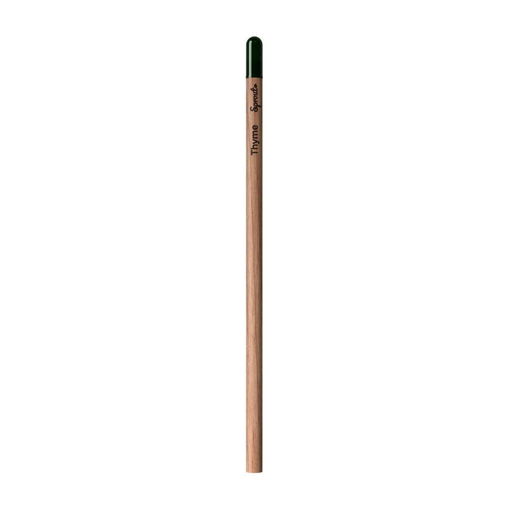 Sprout™ | Bleistift