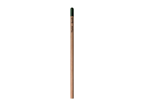Sprout™ | Bleistift