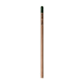 Sprout™ | Bleistift