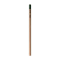 Sprout™ | Bleistift