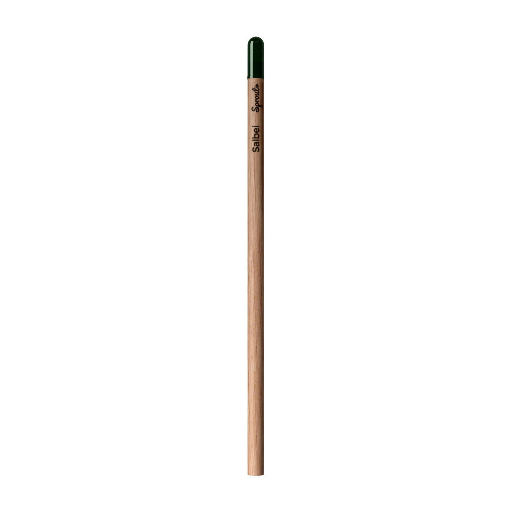 Sprout™ | Bleistift