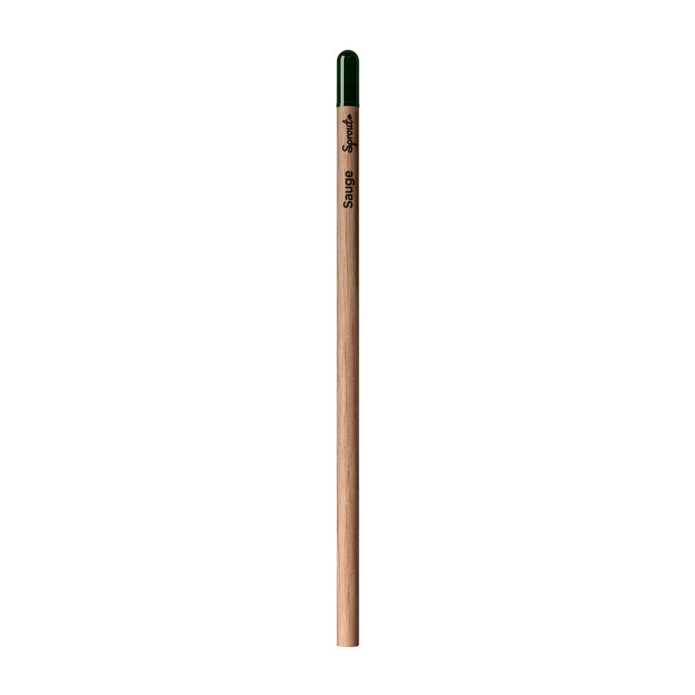 Sprout™ | Bleistift