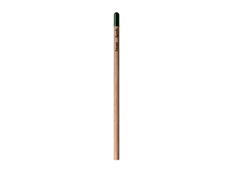Sprout™ | Bleistift