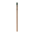 Sprout™ | Bleistift