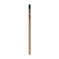 Sprout™ | Bleistift