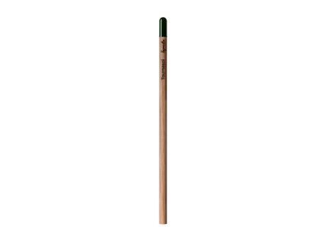 Sprout™ | Bleistift