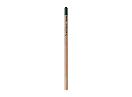 Sprout™ | Bleistift