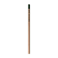 Sprout™ | Bleistift