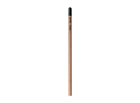 Sprout™ | Bleistift