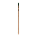 Sprout™ | Bleistift