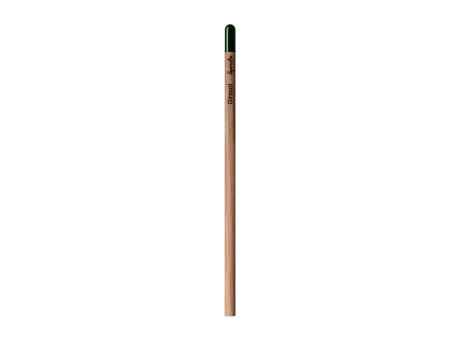 Sprout™ | Bleistift