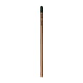 Sprout™ | Bleistift