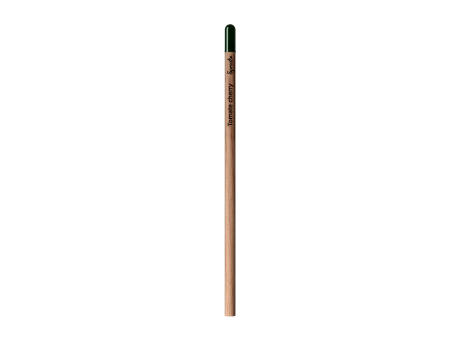 Sprout™ | Bleistift