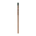 Sprout™ | Bleistift