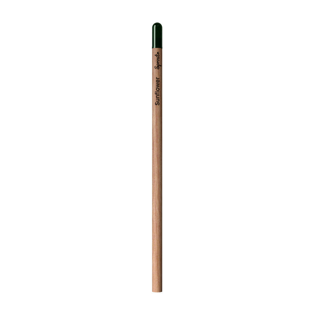 Sprout™ | Bleistift