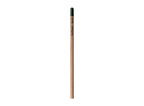 Sprout™ | Bleistift