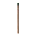 Sprout™ | Bleistift