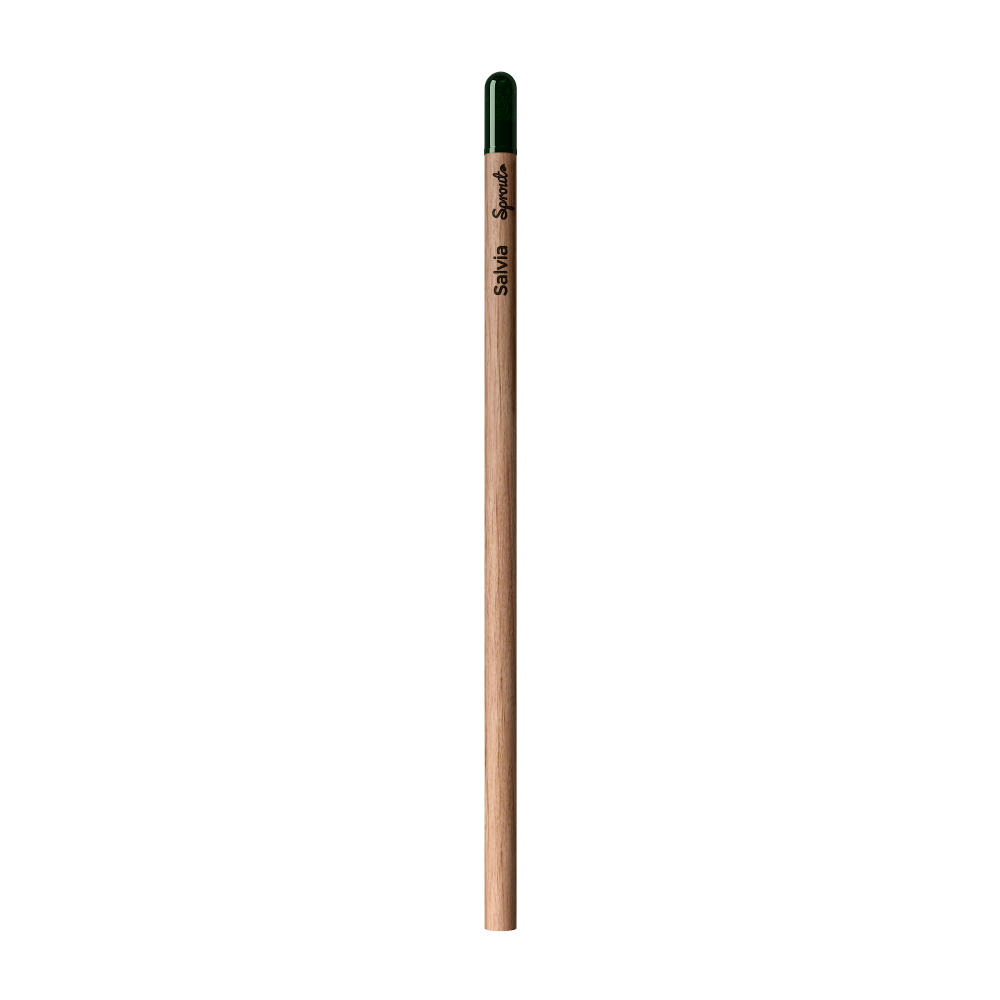 Sprout™ | Bleistift