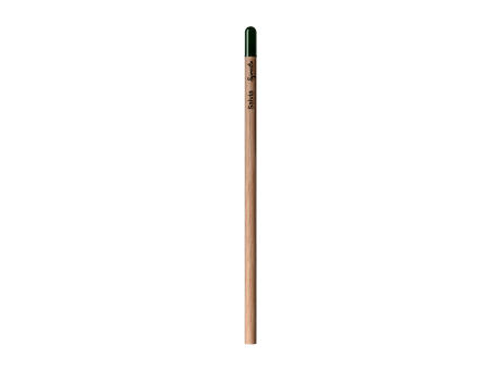 Sprout™ | Bleistift