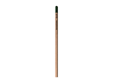Sprout™ | Bleistift