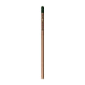 Sprout™ | Bleistift