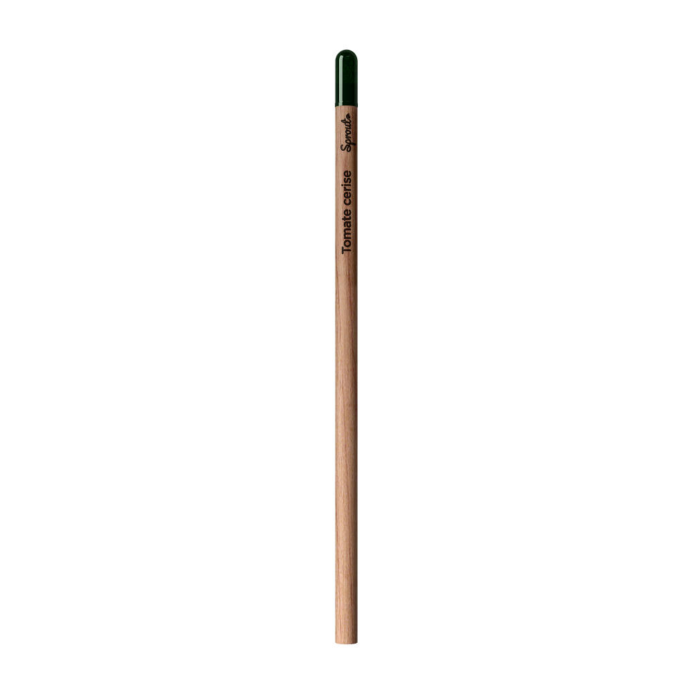Sprout™ | Bleistift